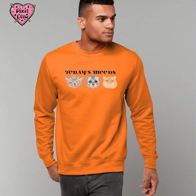 Funny Cat sweatshirt, cat moods jumper in orange, pink or green image 8