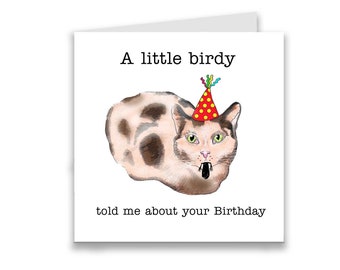 Funny Cat Birthday card