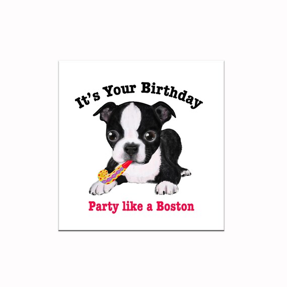 Boston Terrier Car Seat Covers (Set of 2) - Multi Boston Terrier Car Seat Covers (Set of 2) - Multi