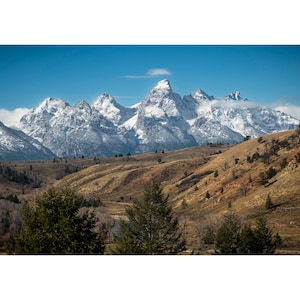 The Wedding Tree View - Grand Teton Wyoming