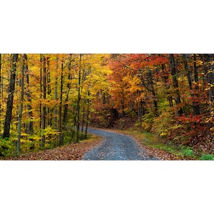 Minden Road - Fall Country Trail West Virginia