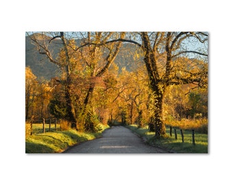 Coyote Lane - Cades Cove Sparks Smoky Mountains Gatlinburg