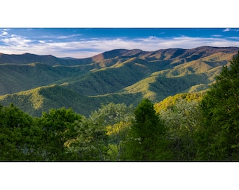 Thomas Divide - Great Smoky Mountains