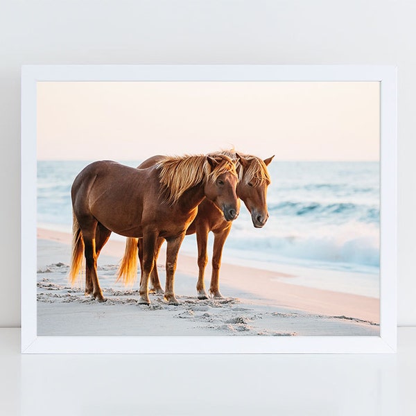 Wild Horse Photography, Beach Decor, Horse Wall Art, Equine Print, Nautical Print, Sunrise, Assateague Island, Horse Photo, Nursery Decor