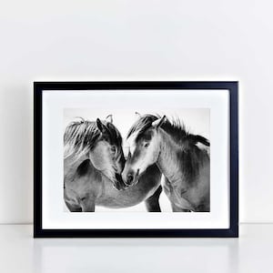 Wild Horse Photography, Beach Decor, Horse Wall Art, Equine Print, Black White, Nursery Decor, Horse Photo, Assateague Island, Maryland