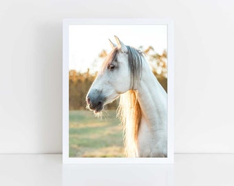 White Horse Photograph Print Equestrian Wall Decor Gift for Horse Lover Equine Photography Horse Wall Art Nursery Decor for Little Girl