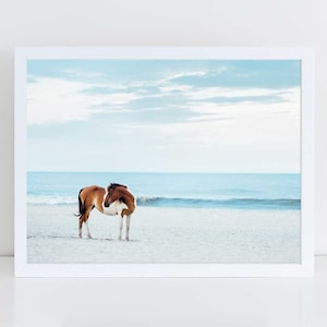 Wild Horse Photography, Beach Decor, Horse Wall Art, Equine Print, Nursery Decor, Horse Photo, Assateague Island, Horse Photo, Pretty Pony