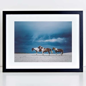 Wild Horse Photography, Beach Decor, Horse Wall Art, Equine Print, Storm Clouds, Nursery Decor, Horse Photo, Assateague Island, Blue