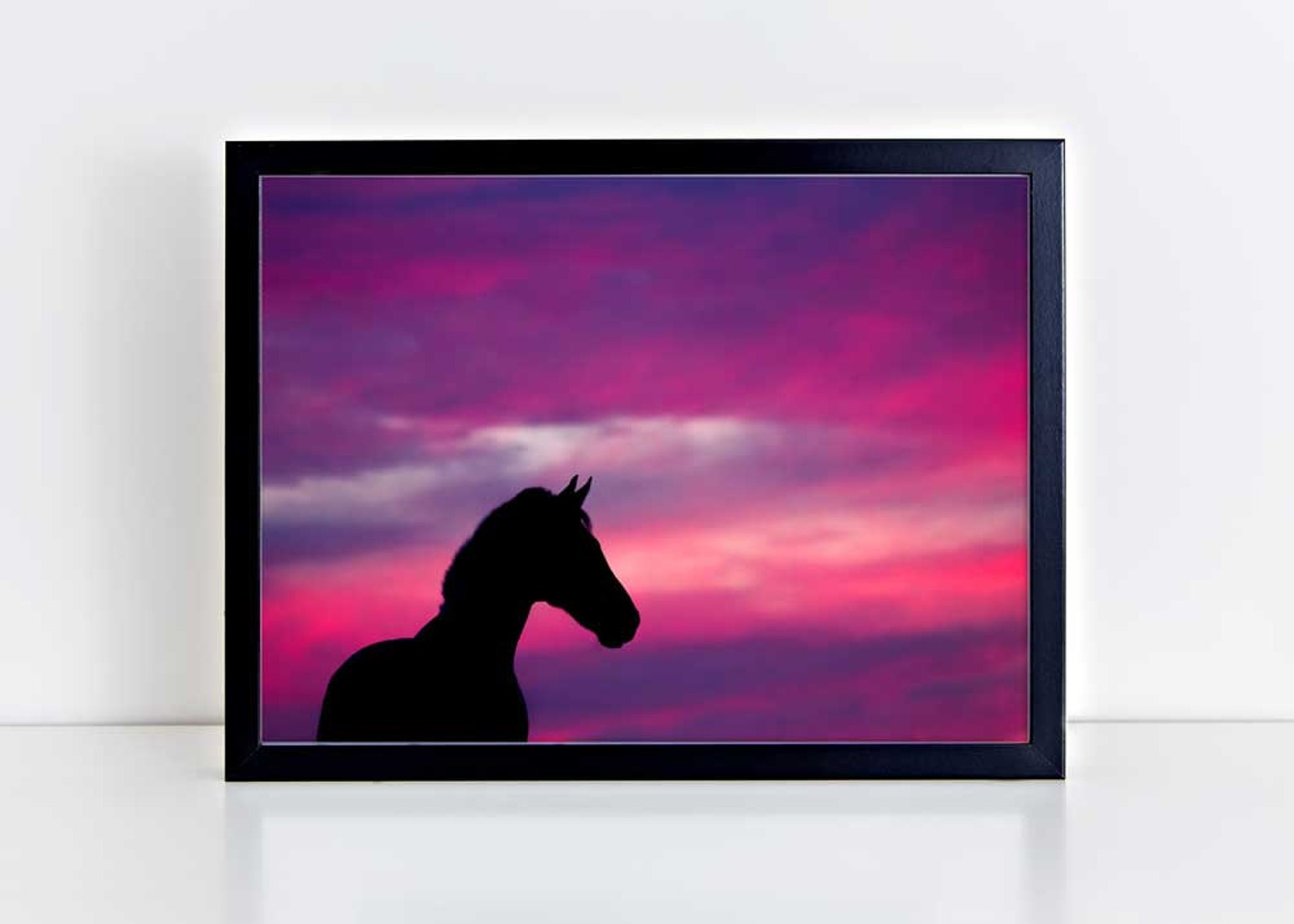 Horse Wall Art Equine Print Horse Photo Horse Photography Etsy