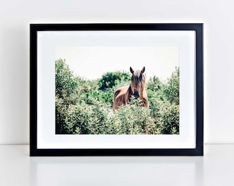 Wild Horse Photography, Horse Wall Art, Equine Print, Nursery Decor, Horse Photo, Assateague, Horse Photo, Beach Decor, Equine Portrait