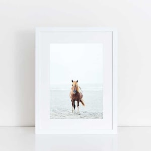 Wild Horse Photography, Horse Wall Art, Equine Print, Minimalist, Horse Photo, Assateague, Horse Photo, Beach Decor, Equine Portrait