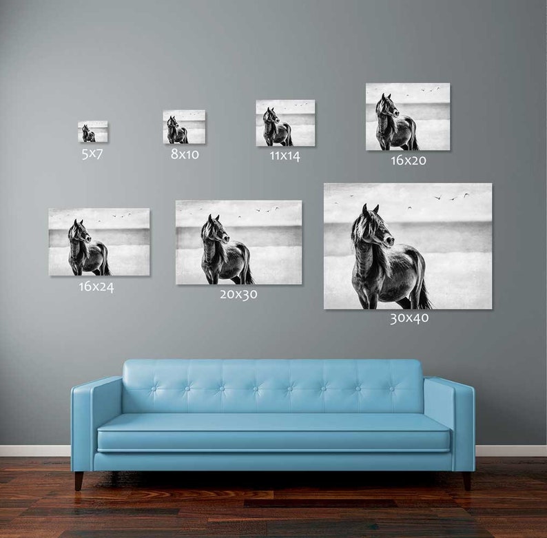 Horse Wall Art Equine Print Horse Photo Horse Photography Etsy