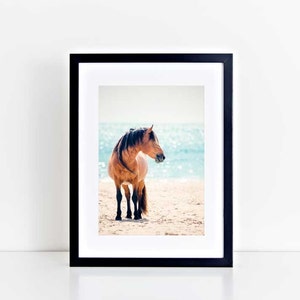 Wild Horse Photography, Horse Wall Art, Equine Print, Nursery Decor, Horse Photo, Assateague, Horse Photo, Beach Decor, Equine Portrait image 1