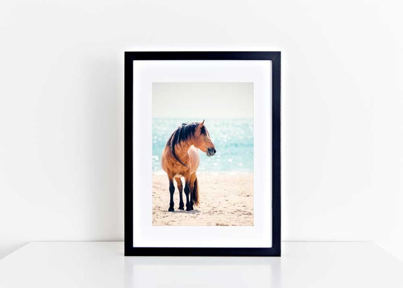 Wild Horse Photography, Horse Wall Art, Equine Print, Nursery Decor, Horse Photo, Assateague, Horse Photo, Beach Decor, Equine Portrait image 1