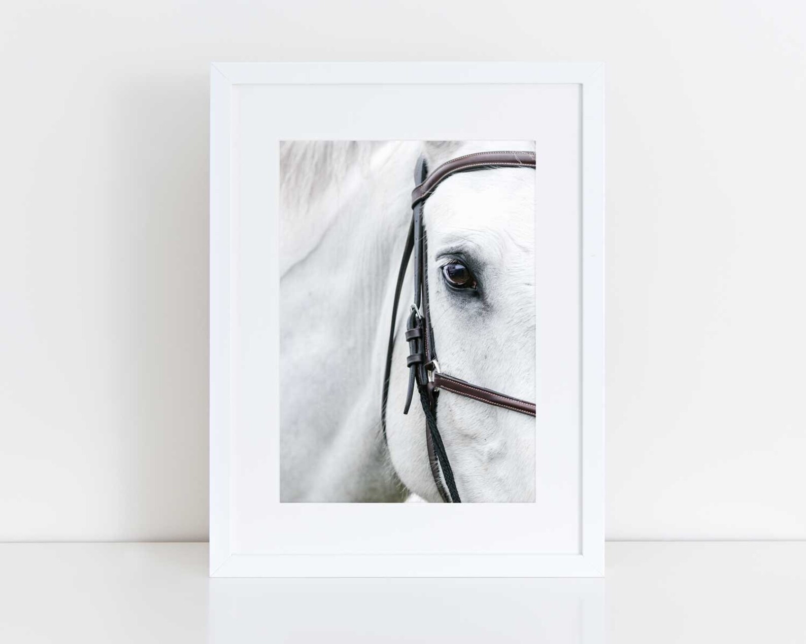 Horse Decor White Horse Picture Equestrian Gift for Horse Lover Equine