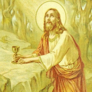 Jésus priant dans le jardin de Gethsémani vintage NOS carte de prière sainte Français Marin