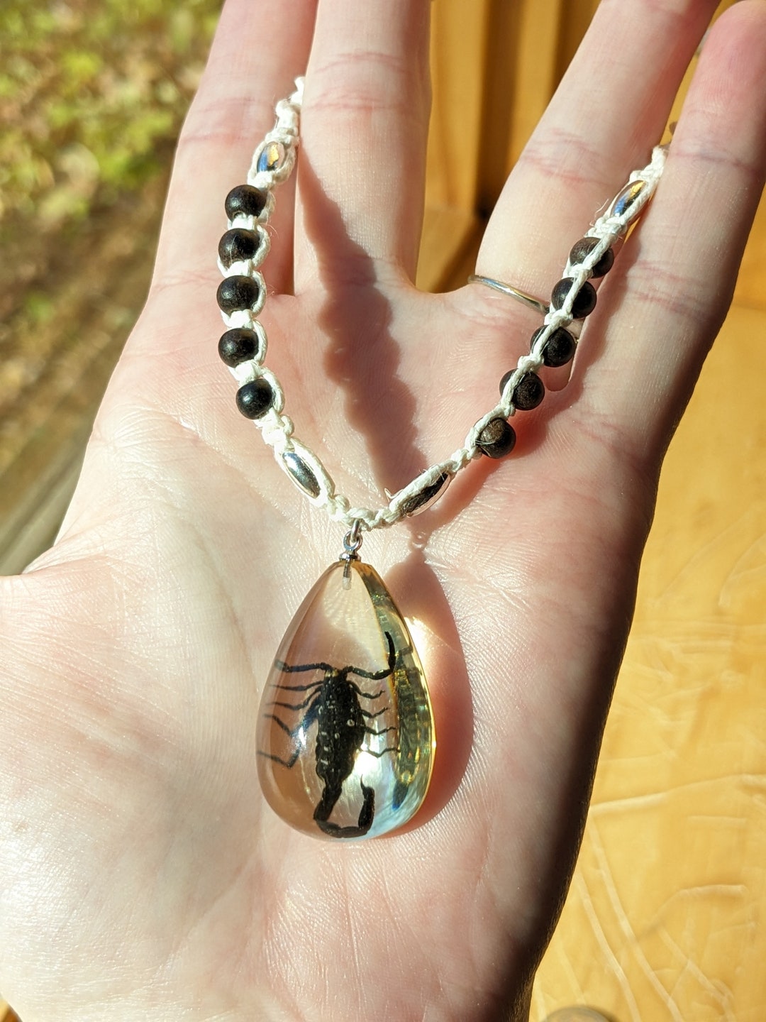 Real Scorpion Necklace Scorpion Necklace Scorpion Jewelry Etsy