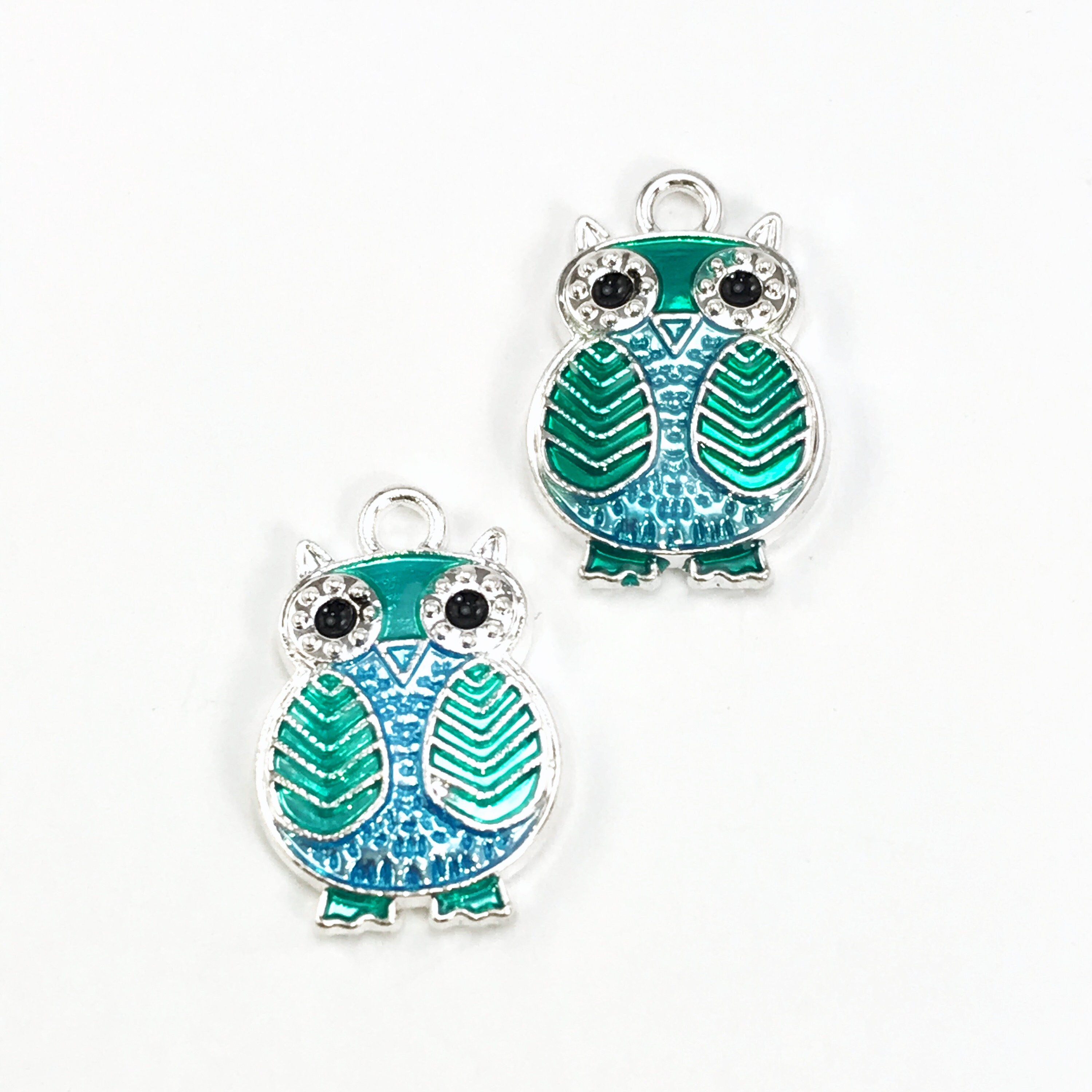 2/4Pcs Owl Blue and Green Enamel Pendant Charms, 20mm,  Jewelry Making Supplies, Bulk Pack CHA1094