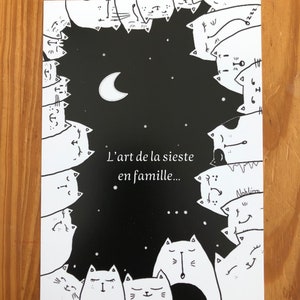 Carte postale chats et message style poetique