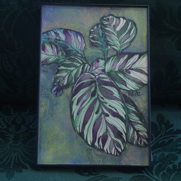 Peinture originale de Calathea Makoyana - plante de paon - 4 x 6 techniques mixtes encadrées - aquarelle, acrylique - peinture de plante encadrée - peinture de feuille