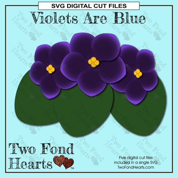Download African Violet Svg Cut File Flower Die Cuts Violet For Paper Etsy