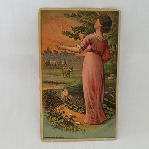 1800er Jahre Einkaufskarte; Antike Handelskarte; Antike Werbekarten; Sammelkarten; Kaufladen werbung