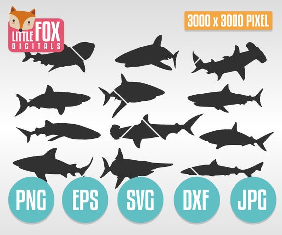 Download Shark Svg Cut File Instant Download Wild Life Printable Clipart Vector Ocean Shark Print Shark Silhouette Vector Design Art Collectibles Digital Kromasol Com