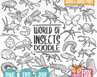 Imágenes prediseñadas de insectos estilo doodle, dibujos lineales hechos a mano (PNG, EPS, PDF)