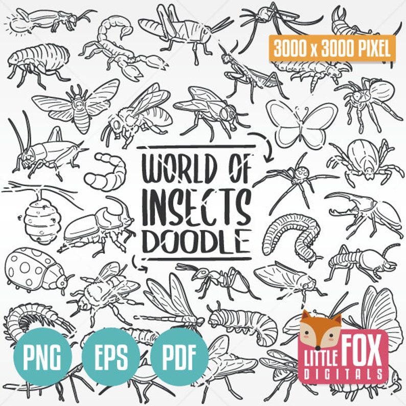 Flying Insect Dodles Insect Doodle Clipart, Hand Drawn Line Art (PNG, EPS, PDF) - Etsy