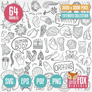 HUMAN BODY SVG, doodle icon vectors. Anatomy vector set. Hand Drawn Body Parts Clipart Designs. Line Art Illustration Coloring Human Organs.