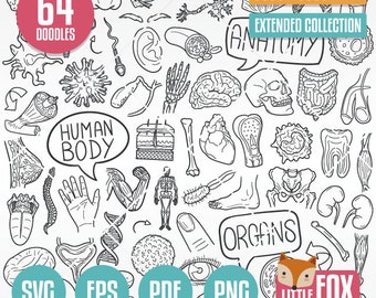 MENSCHLICHER KÖRPER SVG, Doodle Symbol Vektoren. Anatomie Vektor-Set. Handgezeichnete Körperteile Clipart Designs. Line Art Illustration Färbung Menschliche Organe.