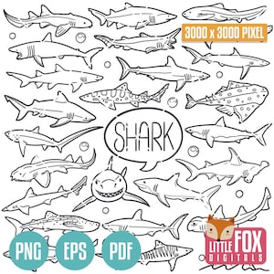 HAAI zeedier, mariene schepsel, mariene leven doodle iconen, haaien clipart scrapbook set. Zoölogie lijntekeningen Hand getrokken ontwerp. Oceaan leven.
