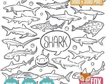 SHARK Sea Animal, Marine Creature, Marine Life Doodle Icons, Sharks Clipart Scrapbook Set. Zoology Line art Hand Drawn Design. Ocean Life.