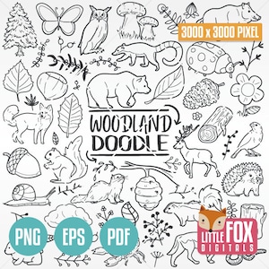 Animales de montaña, fauna silvestre, iconos de doodle. Colección de imágenes prediseñadas para álbum de recortes, diseño de arte lineal dibujado a mano, imágenes prediseñadas para colorear y dibujar.