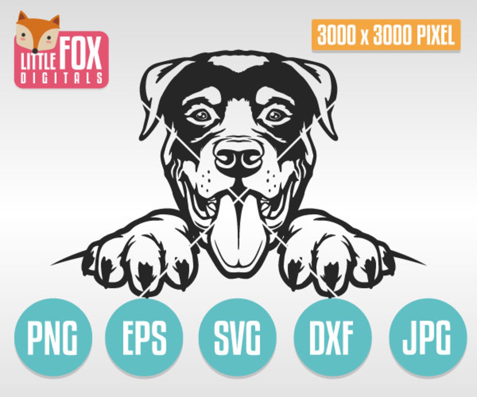 rottweiler gift ideas