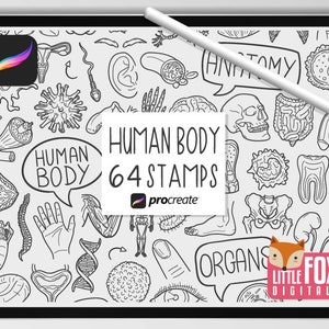HUMAN BODY STAMPS, Procreate Brushes, Anatomy Icons, Body Parts Bundle Doodles. Organs Digital Sticker Planner Scrapbook Set Coloring.