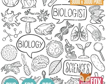 BIOLOGÍA, iconos vectoriales de garabatos. Ciencia, estudio, animales, biólogo, iconos de garabatos, clipart. Conjunto de diseño de arte lineal dibujado a mano, clip para colorear, boceto.