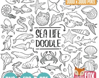 Animais marinhos, criaturas marinhas, ícones de rabiscos da vida marinha, conjunto de clipart de biologia para scrapbook. Arte de linha de zoologia desenhada à mão. Vida oceânica em PNG.