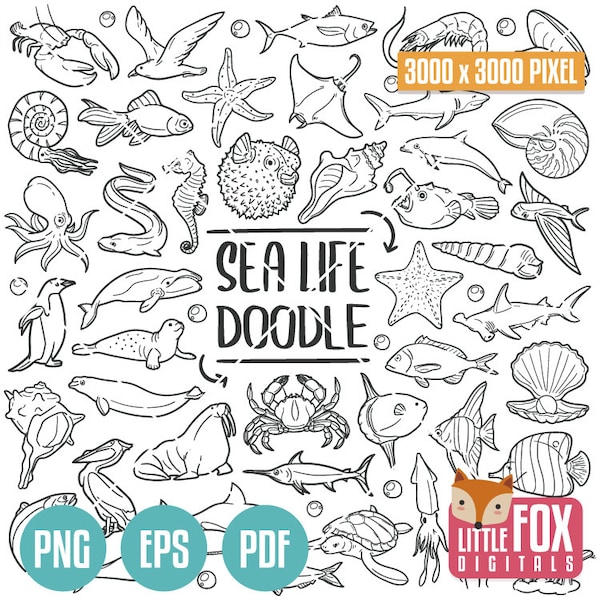 SEA Animals, Marine Creatures, Marine Life Doodle Icons, Biology Clipart Scrapbook Set. Zoology Line art Hand Drawn Design. Ocean Life Png.