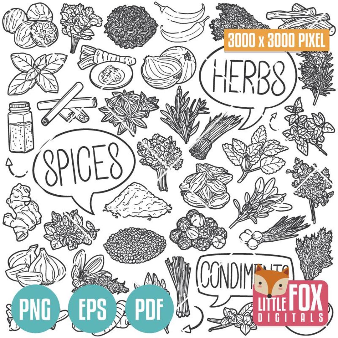 SPICES and HERBS Clipart, Condiments Vector Doodle Icons. Clipart ...