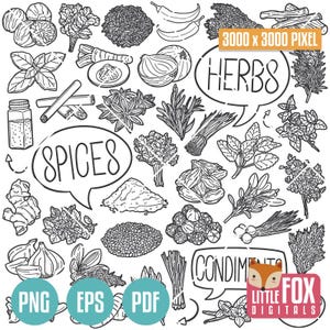 SPEZIE ed ERBE Clipart, Condimenti Icone vettoriali Doodle. Clipart Scrapbook Artwork Colorazione Disegnato a mano Linea Scarabocchio Schizzo Scrapbooking.
