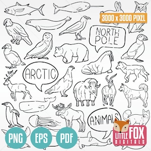 ARKTISCHE TIERE SVG, Nordpol Doodle. Eis Fauna Icons Clipart Scrapbook Set. Tundra Handgezeichnet Linie Kunst Design Kunstwerk Clip Art Färbung.
