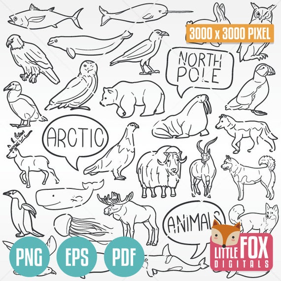 ARCTIC ANIMALS SVG North Pole Doodle. Ice Fauna Icons Clipart - Etsy Singapore ARCTIC ANIMALS SVG North Pole Doodle. Ice Fauna Icons Clipart - Etsy Singapore