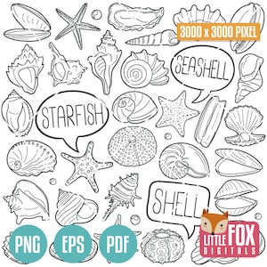 Può includere: Illustrazione in bianco e nero a linea di varie conchiglie, stelle marine e ricci di mare. L'immagine include il testo "Seashell", "Starfish", "Shell", e "3000 x 3000 Pixel". L'immagine include anche il testo "PNG", "EPS", e "PDF" in cerchi blu.