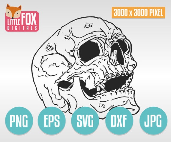 Svg Skull Skeleton Head Vector Silhouette Clipart Cut File Etsy