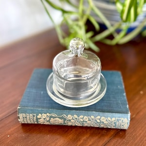 May include: A clear glass cloche with a decorative leaf design on the lid and base, resting on a blue book. The cloche is designed to cover and protect small items. The book has gold lettering.