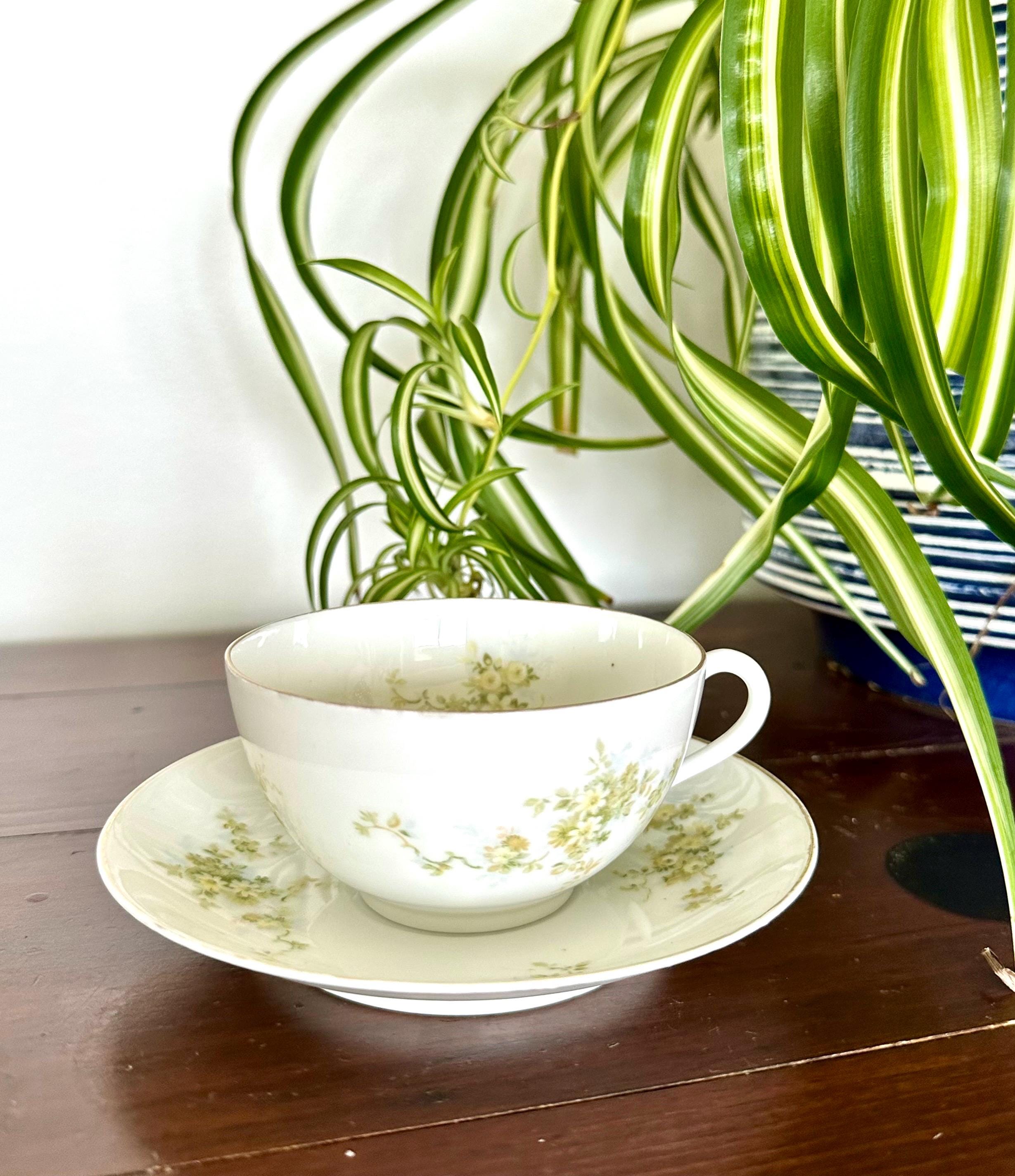Antique Rosenthal Teacup & Saucer Bavarian Floral 1891–1906 - Etsy