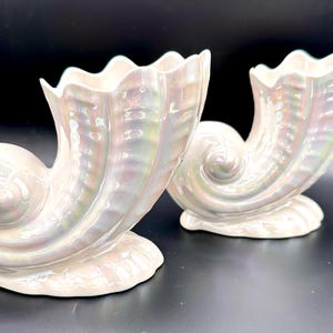 May include: Two white ceramic seashell-shaped vases with iridescent glaze. The vases are shaped like a conch shell and have a smooth, rounded surface.