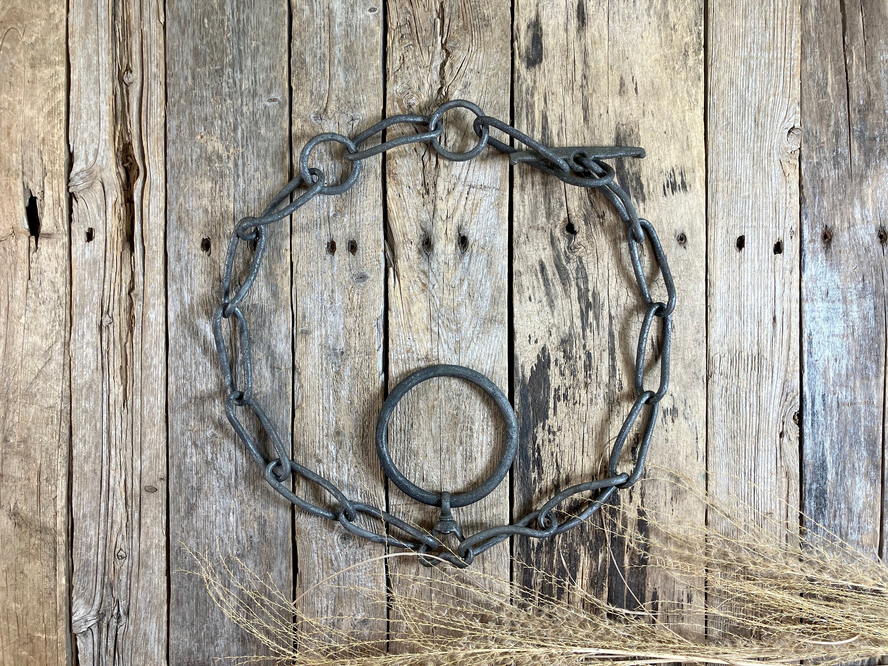 Véhicules Tirés Par Des Chevaux Sur Fond Rustique Avec Des Animaux En