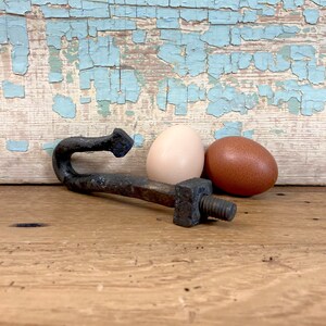 May include: A rusty metal hook with a square nut and bolt. The hook is lying on a wooden surface with two eggs, one brown and one white, behind it.